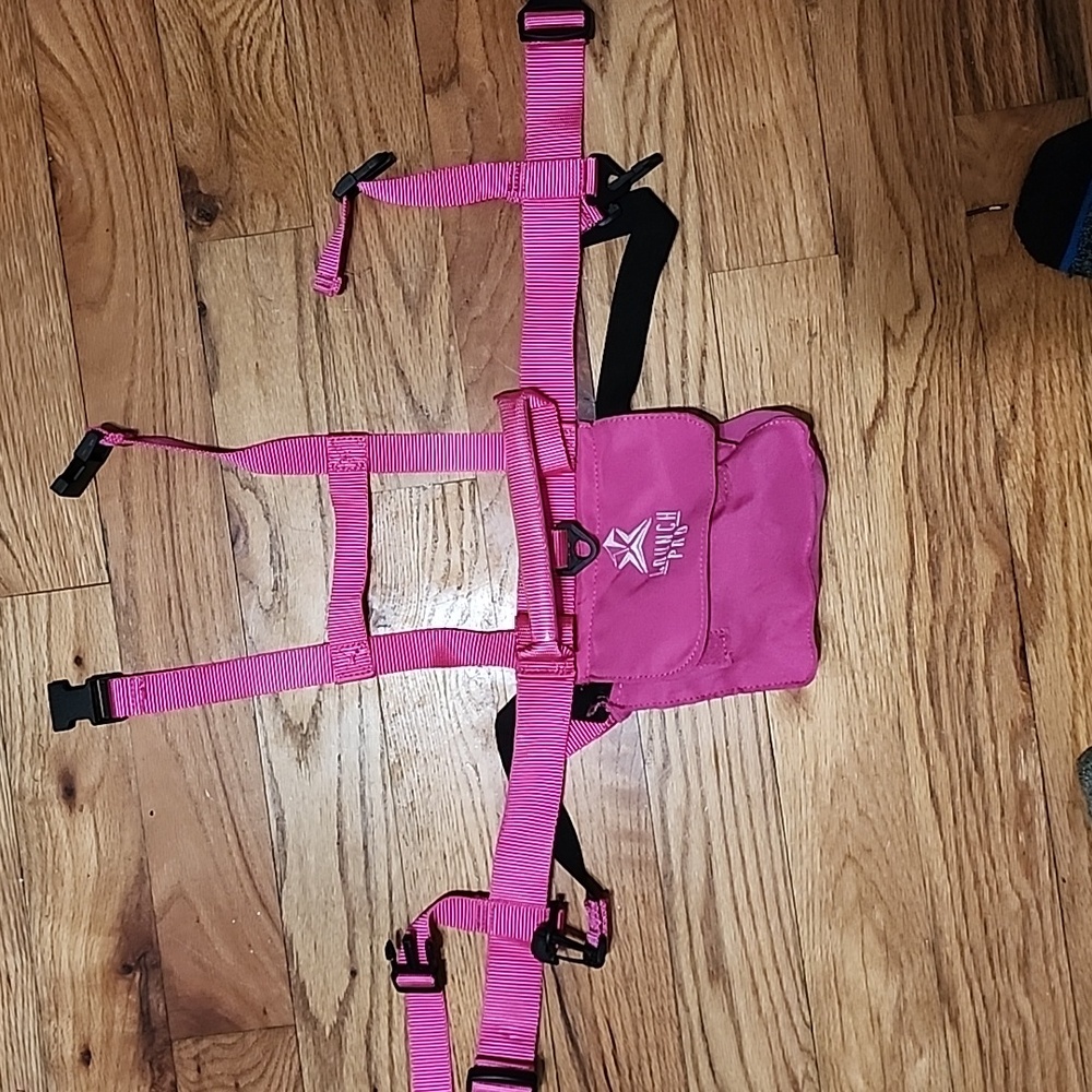 Kids ski harness